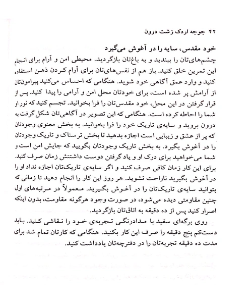 جوجه اردک زشت درون - نمونه اول - جزیره کتاب های الکترونیکی